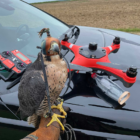 WATERPROOF FALCONRY DRONE