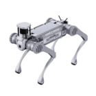 Unitree B2- Robot Dog