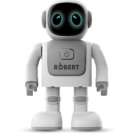 DanceBot Robert RS01 for Robotics Learning